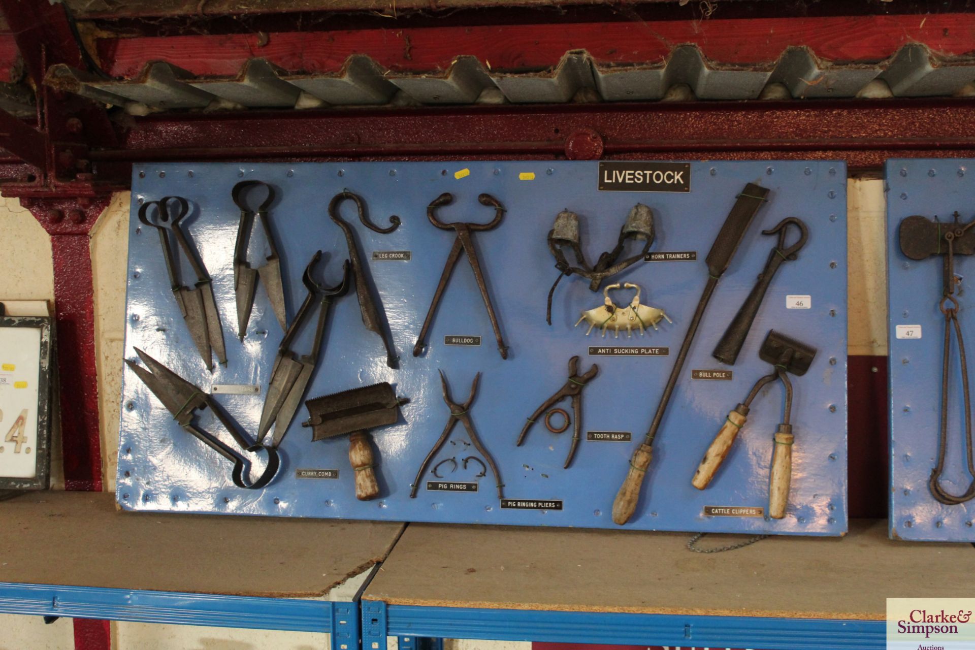 A large display board of Livestock items including sheep shears, pig rings, tooth rasp, anti