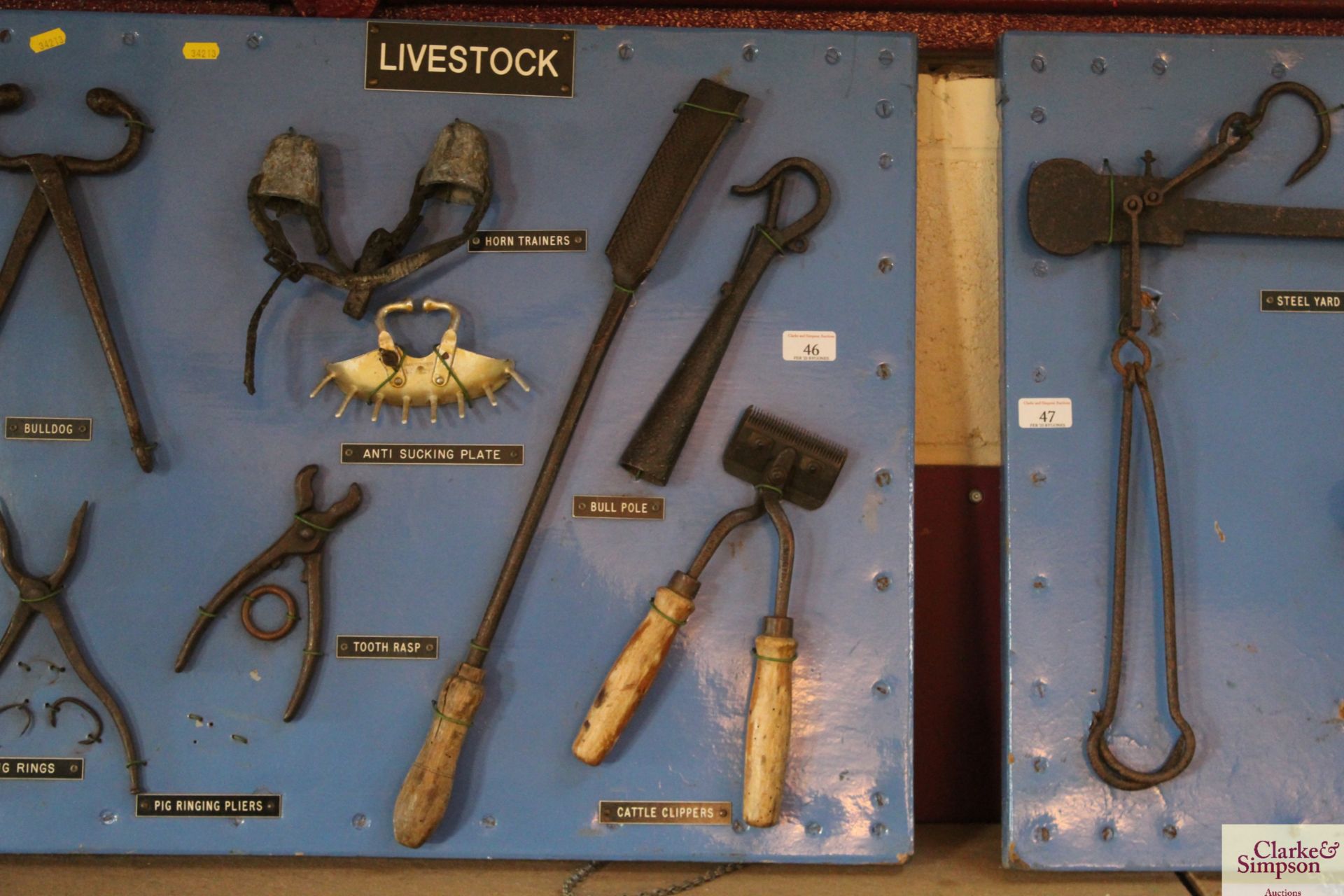 A large display board of Livestock items including sheep shears, pig rings, tooth rasp, anti - Image 4 of 4