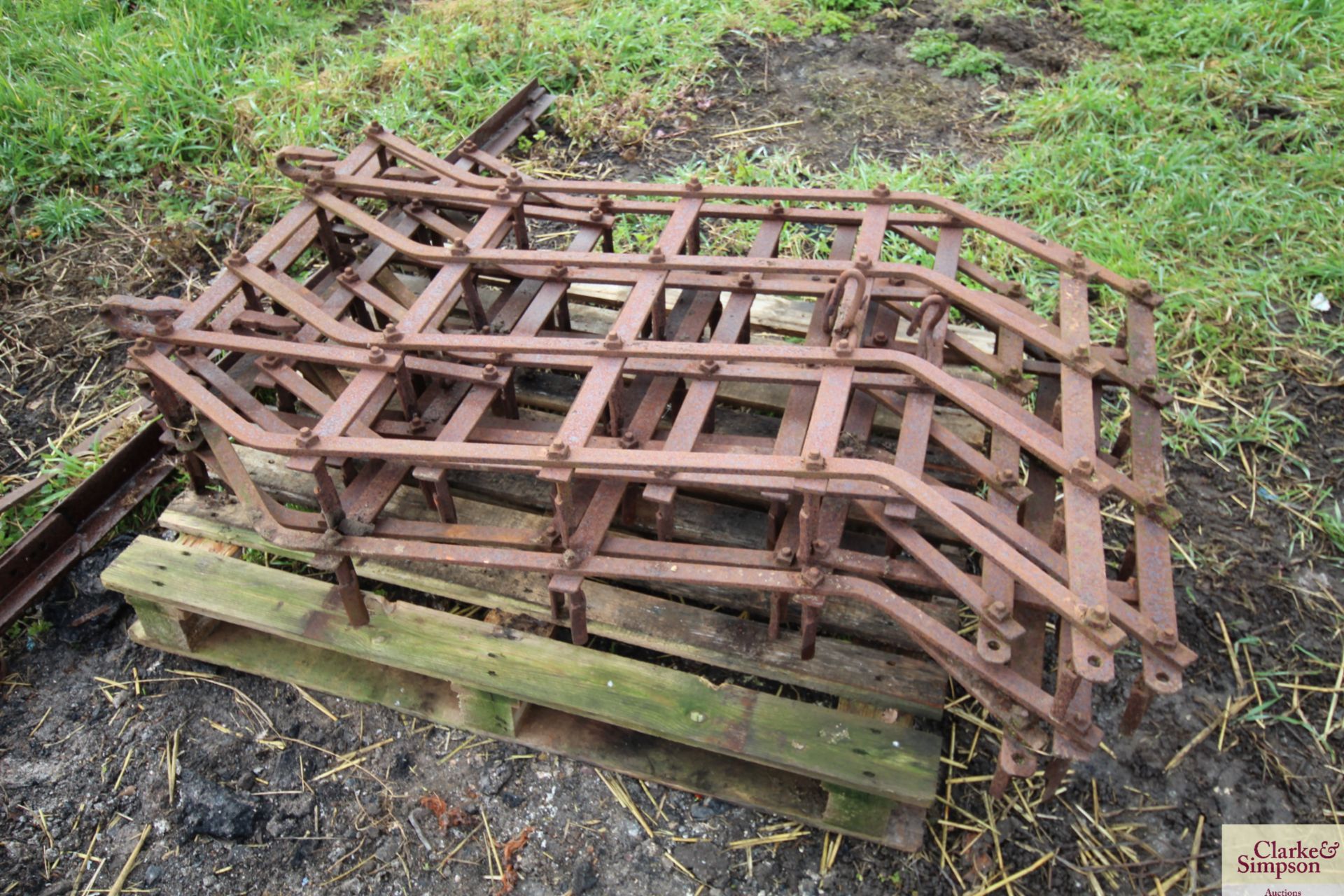 Set of seed harrows with pole. V - Image 4 of 5