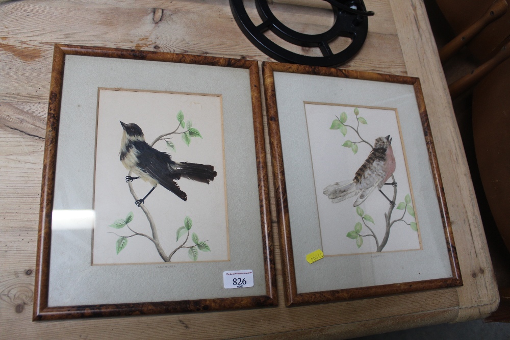 Two feather decorated pictures of birds