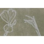 Tom Wood, pencil signed print "Plant & Hand" 48cm