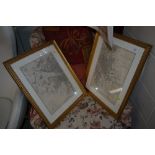 Two framed and glazed maps of Paris