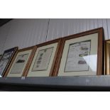 Three framed and glazed MG prints