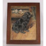 Gerald Leffitte, study of the family pet spaniel, sign