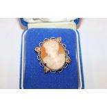 A 9ct rolled gold mounted shell cameo brooch