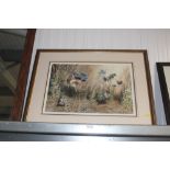 A framed and glazed Mark Chester pencil signed Lim
