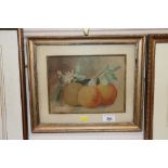 Watercolour study of fruit in gilt frame