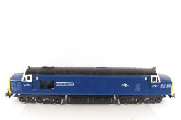 A 5" Gauge model BR Class 37216 Great Eastern loco