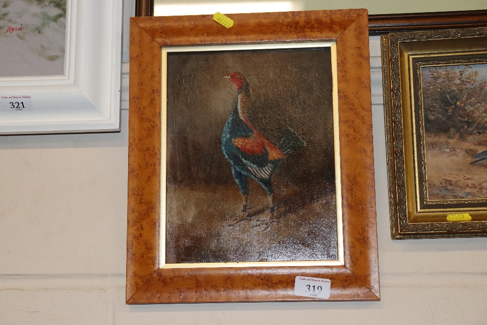 Oil on board, study of the "Cheshire Blue" Game Cock