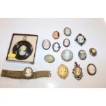 A quantity of various cameo brooches etc