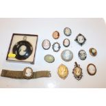 A quantity of various cameo brooches etc.