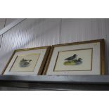 Two gilt framed coloured prints depicting ducks