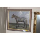 Oil on panel study of a horse, signed G. Mortimer