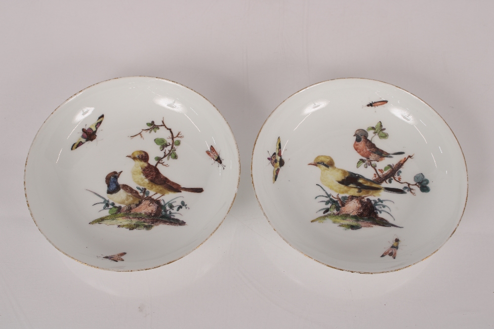 A pair of mid-18th Century Meissen porcelain ornithological cups and saucers, decorated birds on - Image 7 of 12