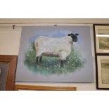 Ryan, acrylic study of a Suffolk Ewe
