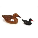 A large and small decoy duck