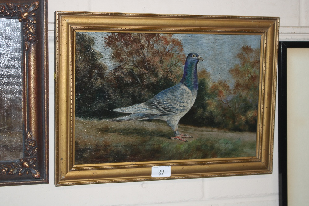 George Wallis, oil on board "Racing Pigeon"