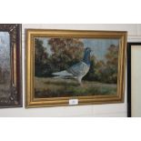 George Wallis, oil on board "Racing Pigeon"