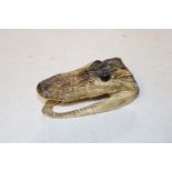 A preserved alligator head