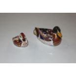 Two Royal Crown Derby paperweights in the form of