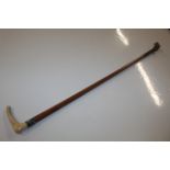 A Malacca cane / riding crop