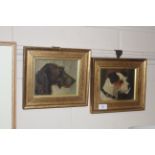 Two oil studies of terriers in gilt frames