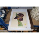 A folder containing Italian floral prints, prints