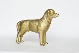 Golden Labrador by John Grose, Ipswich