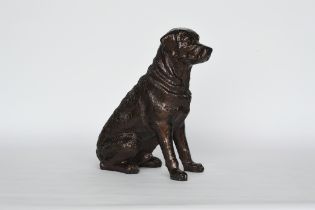 Chocolate Labrador by John Grose, Ipswich