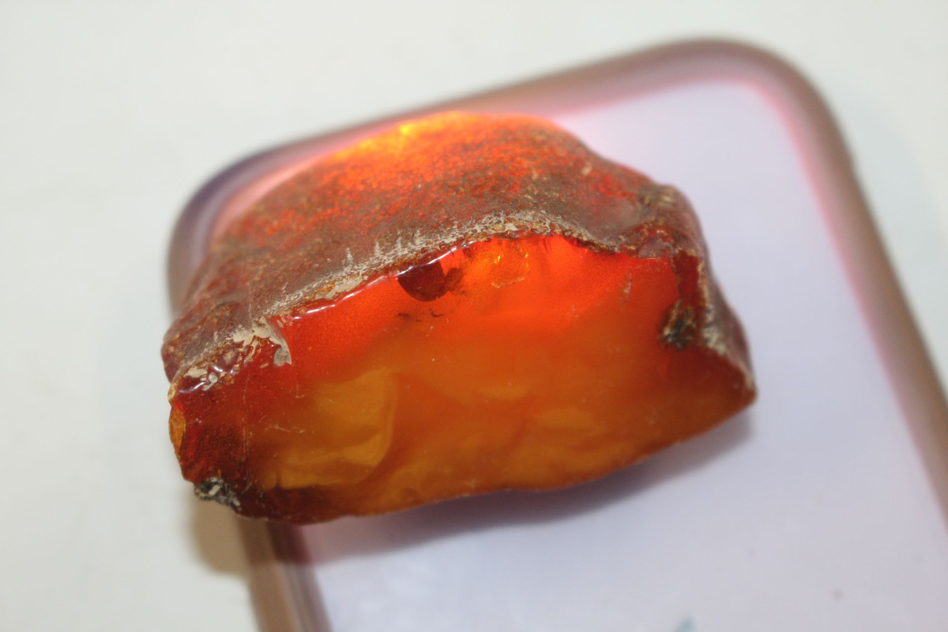 Four pieces of raw amber, approx. 199gms - Image 5 of 8