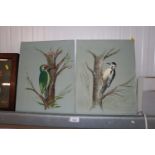R Taylor, two oil on canvas studies of woodpeckers