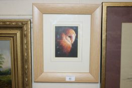 Richard Cooke, acrylic study of a barn owl