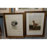 An etching of an English Setter signed Leon Danchi
