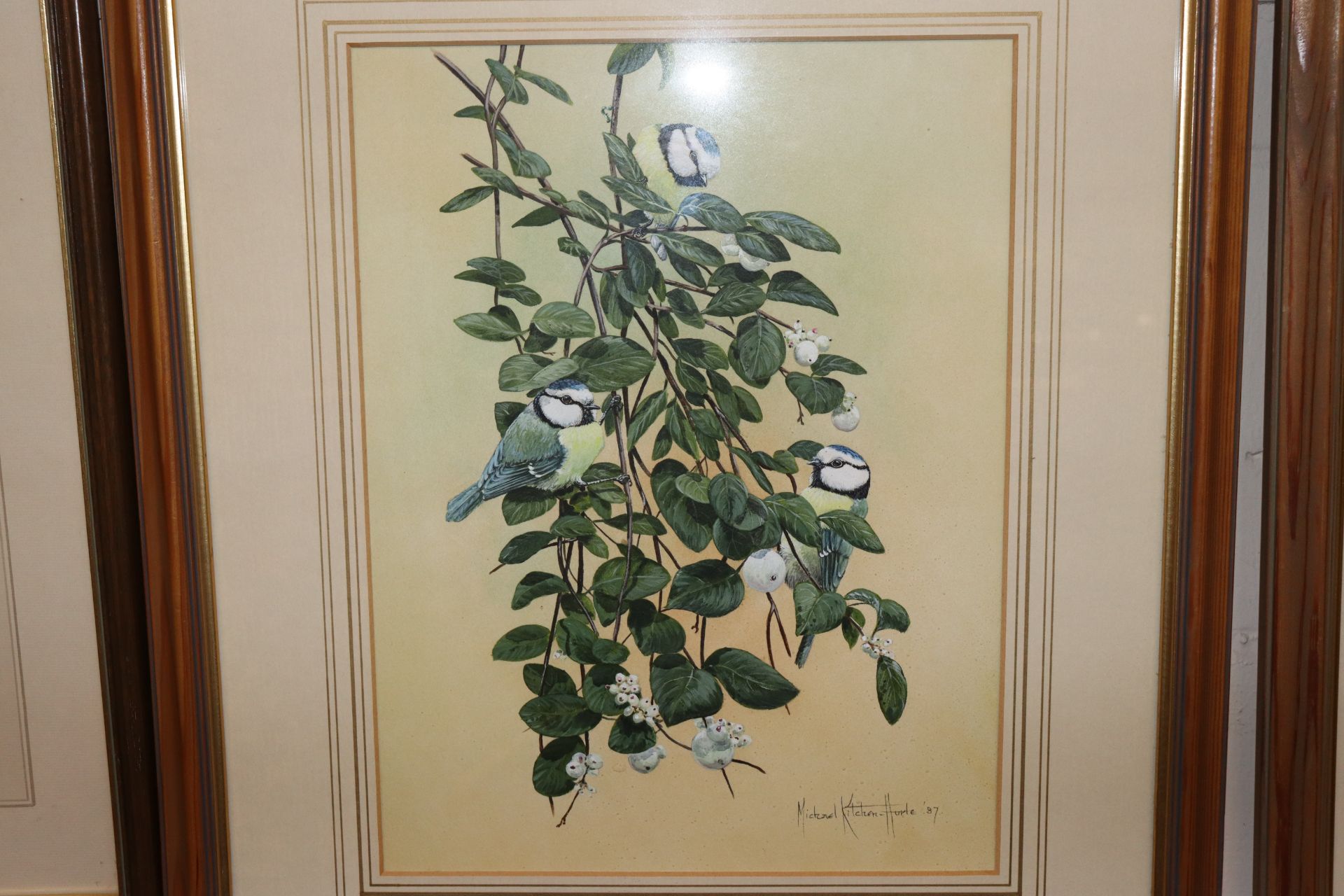 Michael Kitchen-Hurle Born 1941, watercolour study of birds on a branch - Image 2 of 3