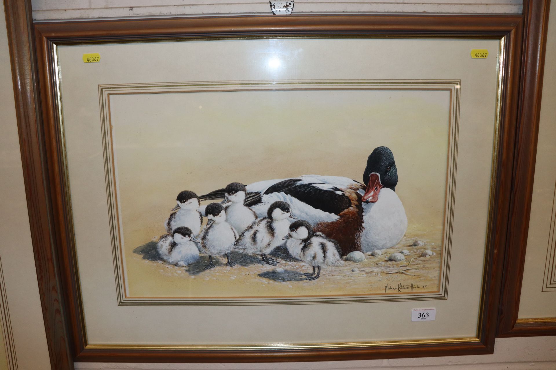 Michael Kitchen-Hurle Born 1941, watercolour study of a family of ducks