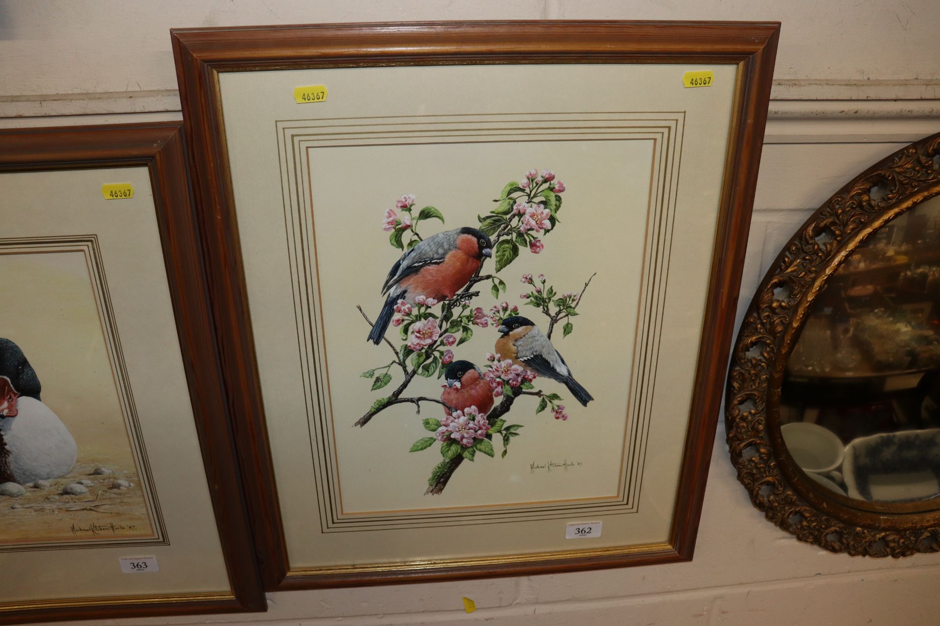Watercolour study of birds on a blossom laden bran