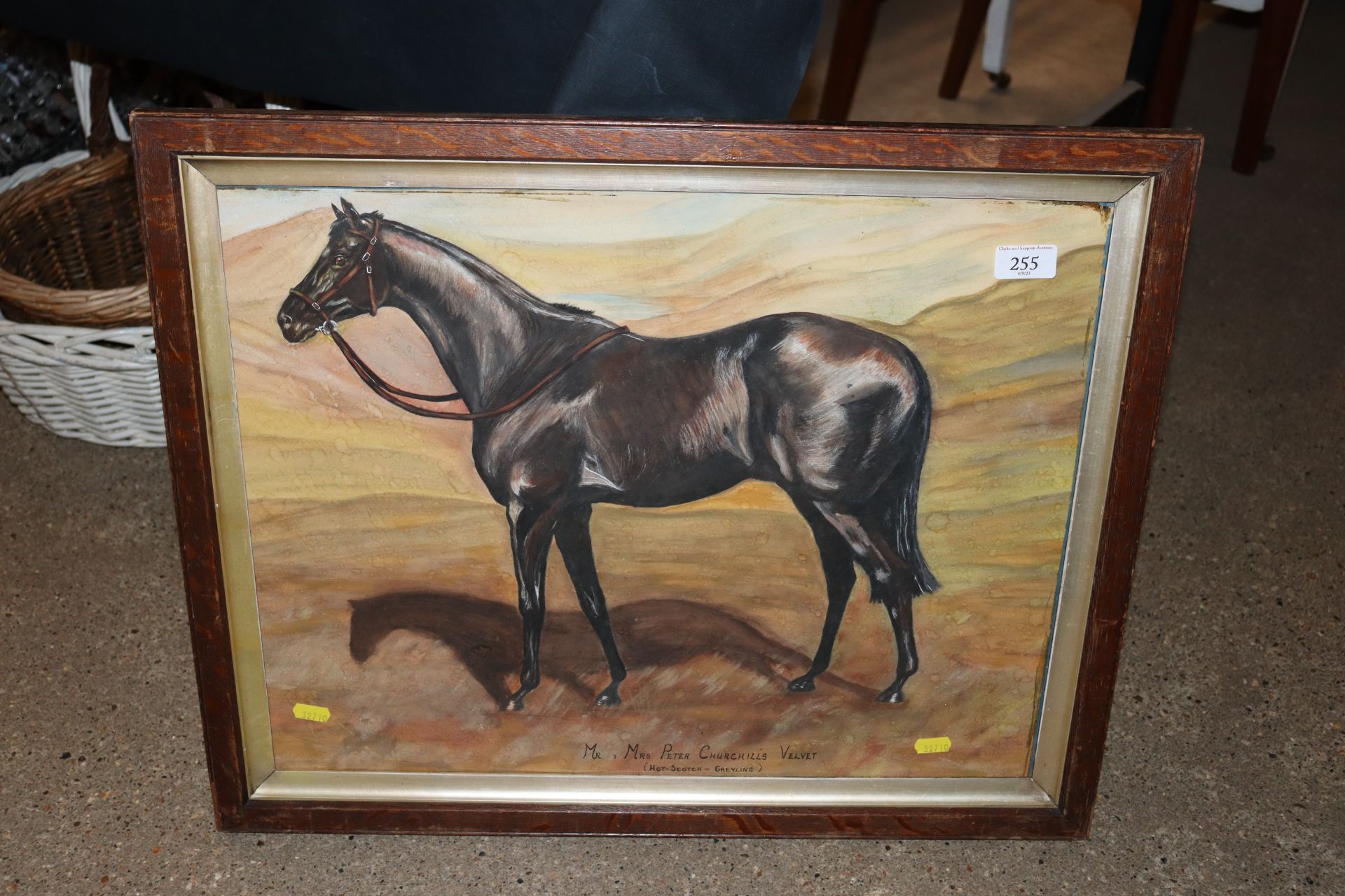 A watercolour of the race horse "Velvet"