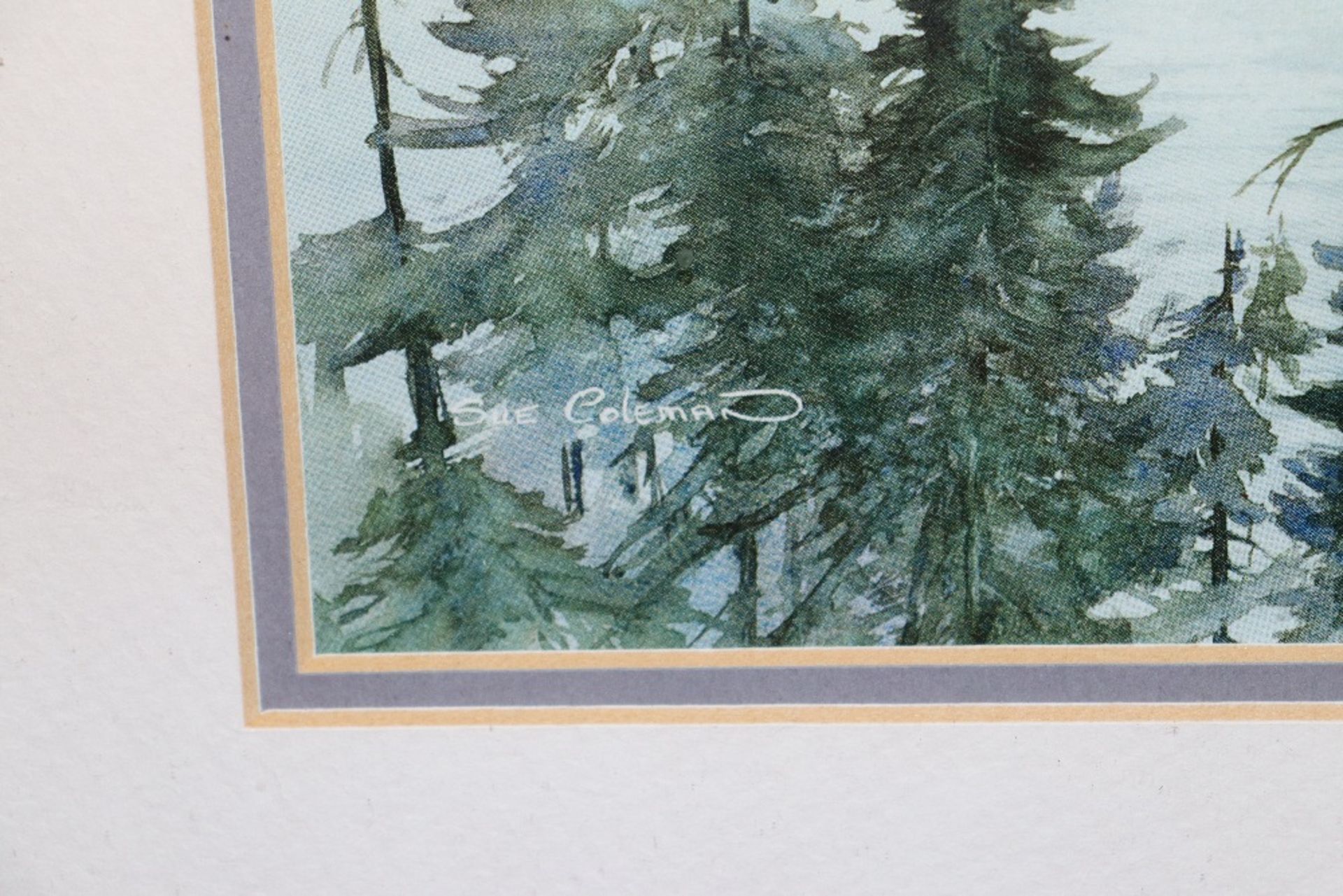 Sue Coleman, watercolour study of an Alpine scene - Image 2 of 2