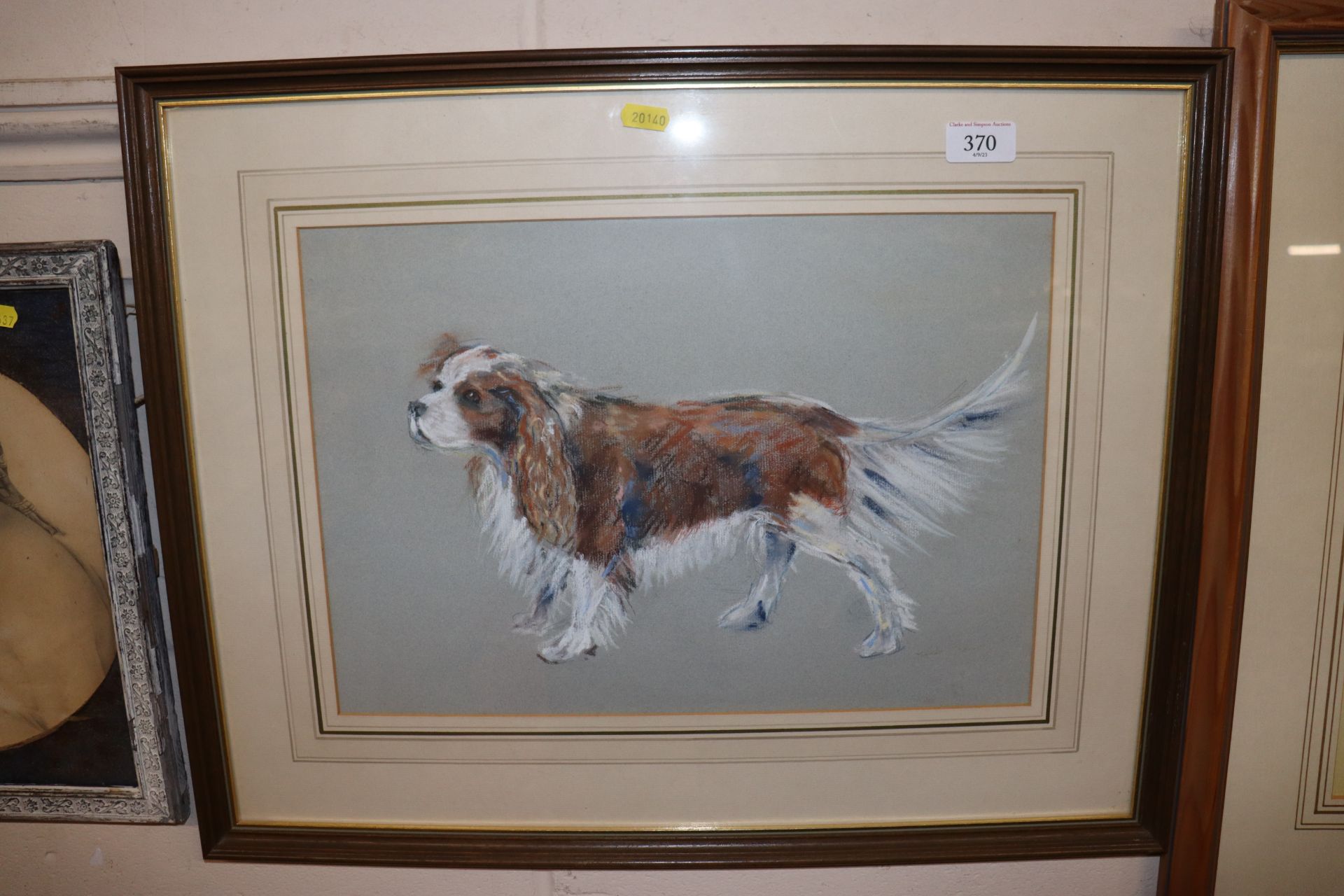 Pastel study of a Collie dog
