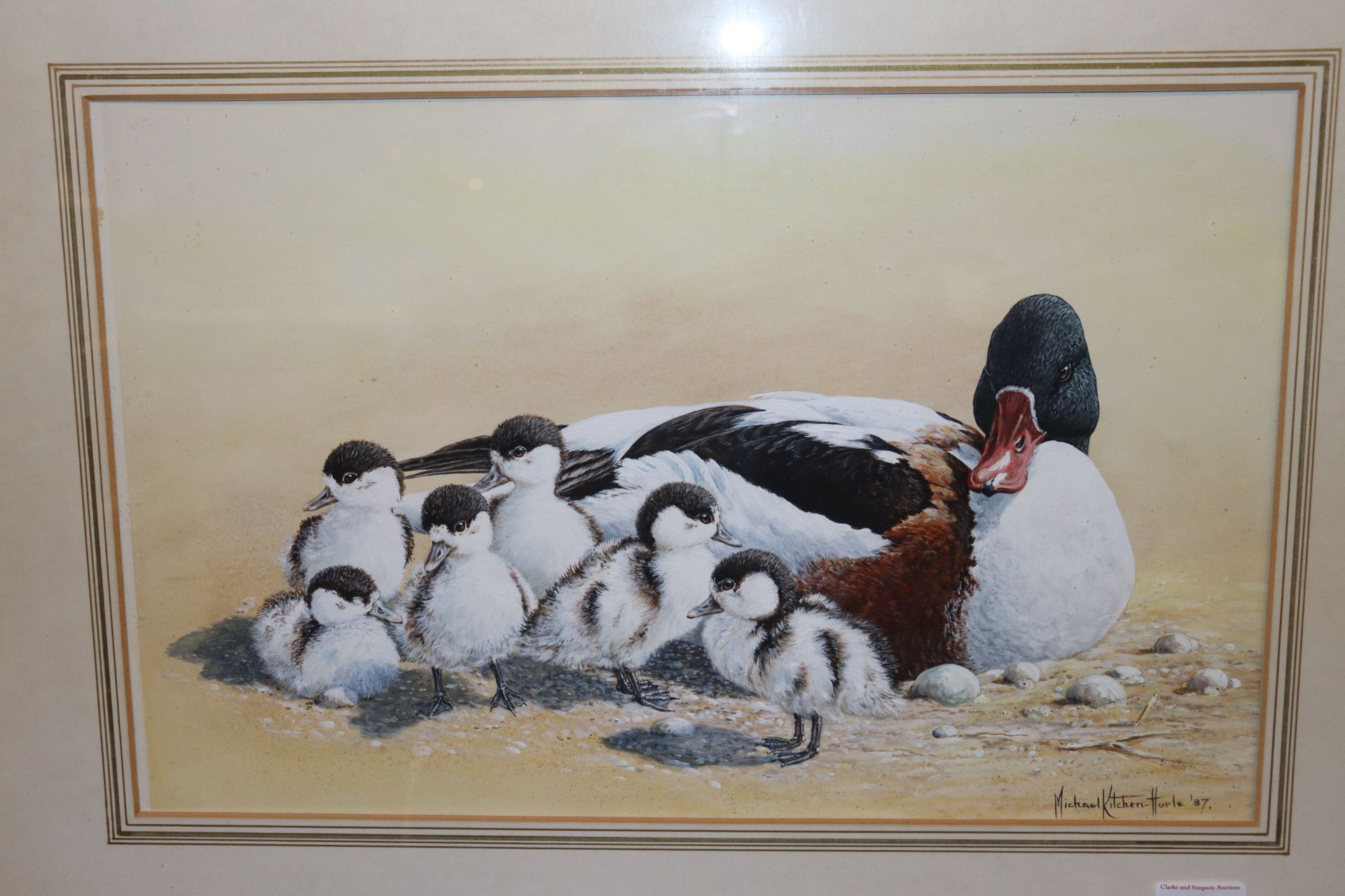 Michael Kitchen-Hurle Born 1941, watercolour study of a family of ducks - Image 2 of 3