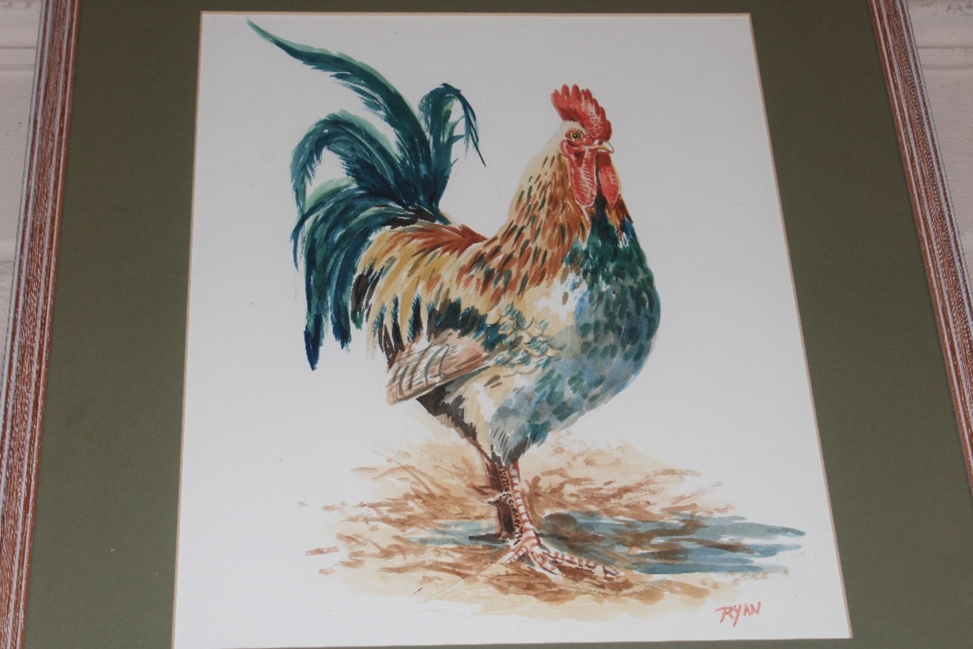 John Ryan, watercolour study of a cockerel - Image 2 of 3