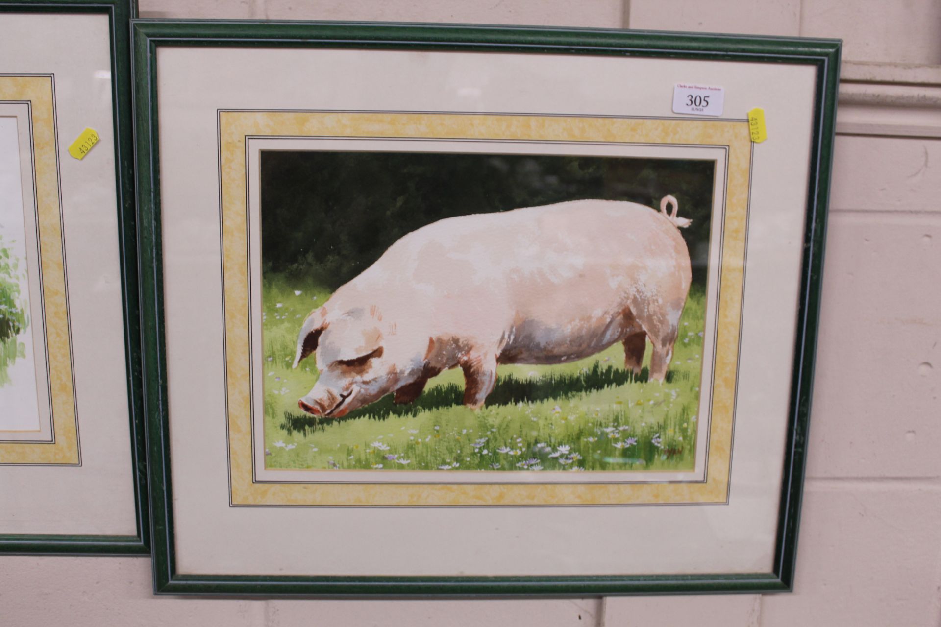 John Ryan, watercolour "Contented Pig"