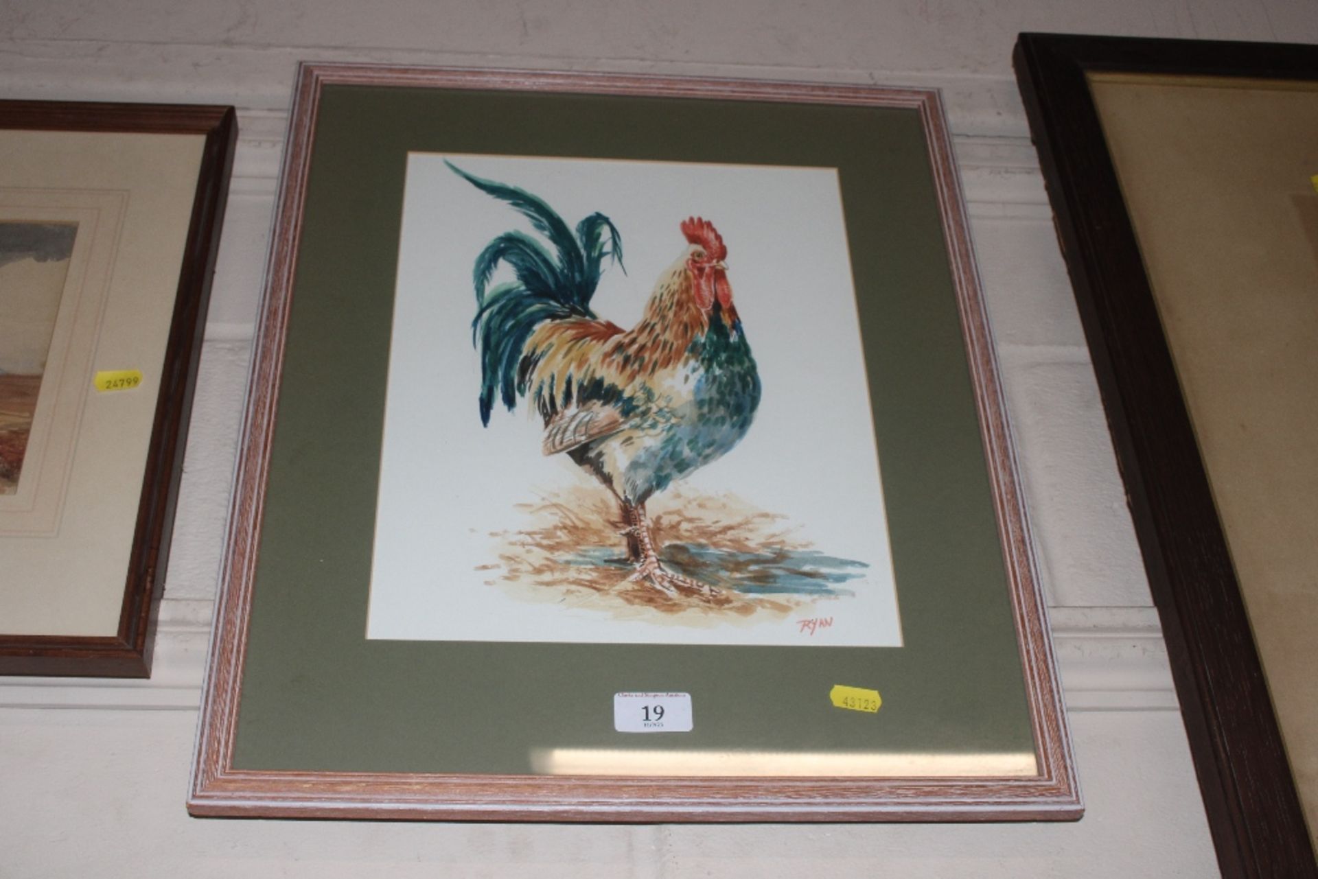 John Ryan, watercolour study of a cockerel