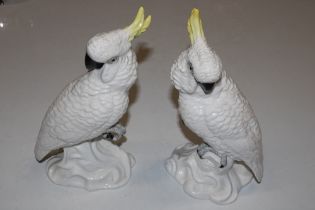 Two Crown Staffordshire models of Cockatoos, desig