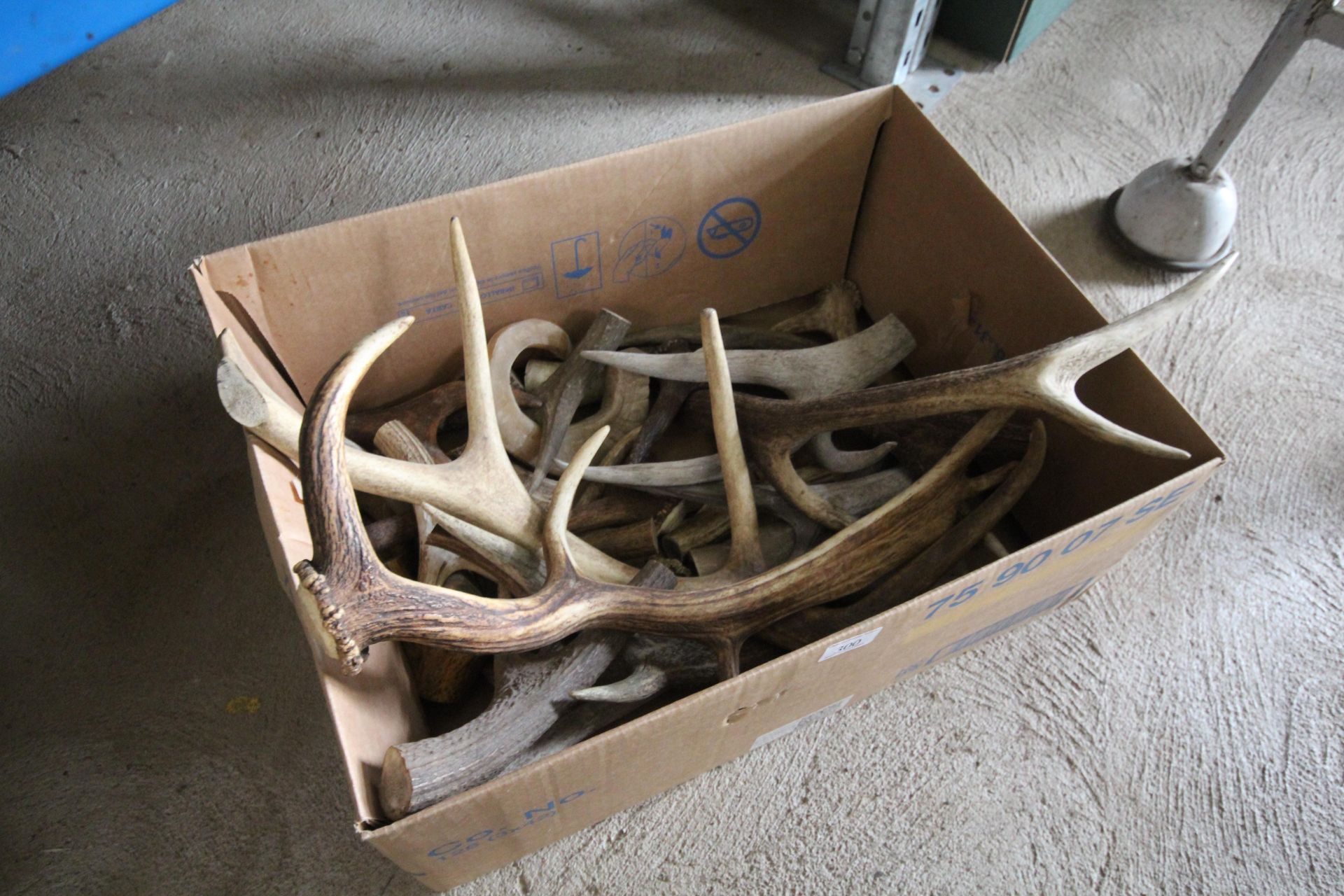 A box of stag antlers