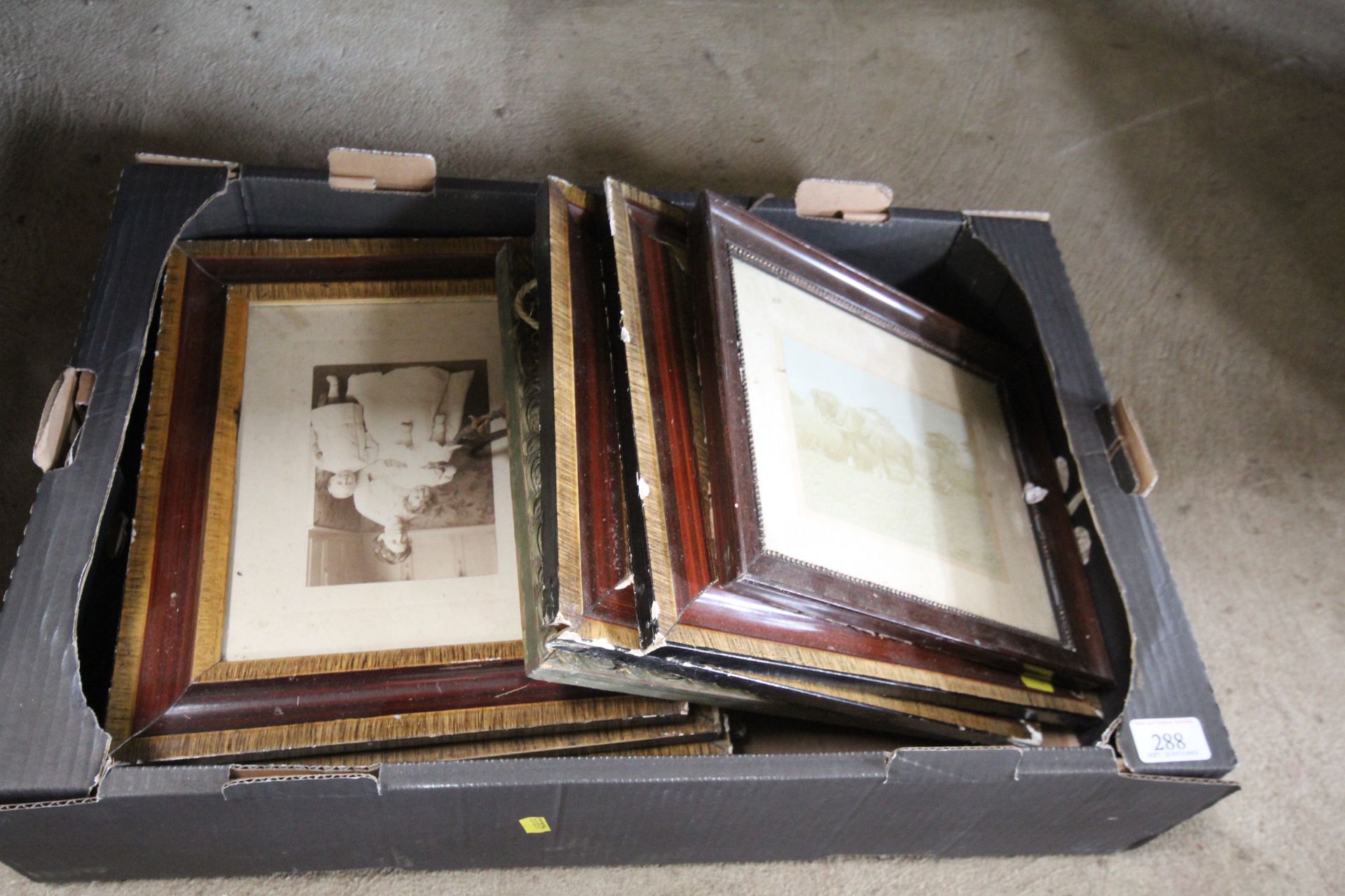 A collection of various vintage photographs depict