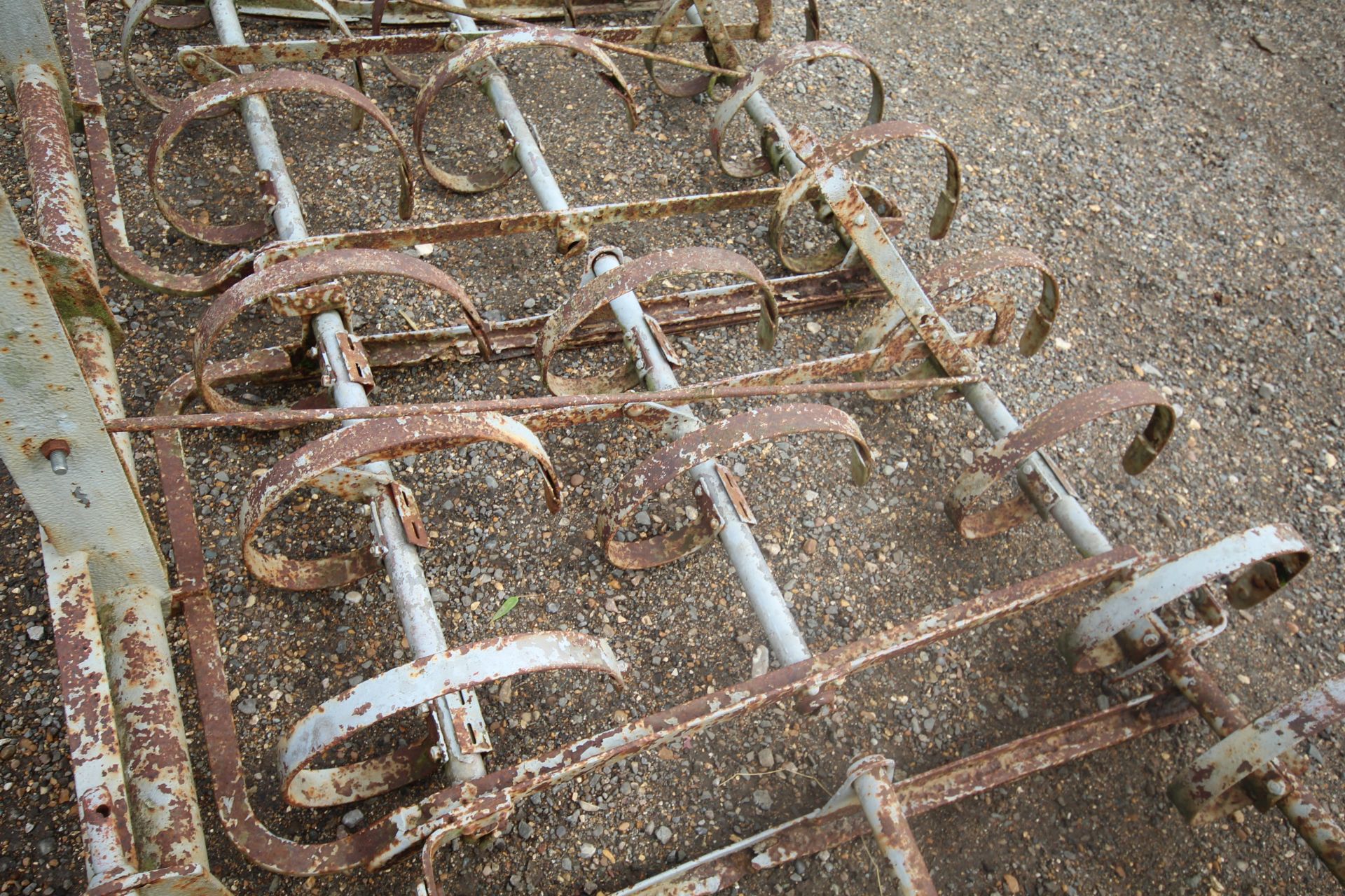 Ferguson Spring Tooth Harrow. Three gang. Later headstock. Model K-BE-A31. - Image 9 of 10