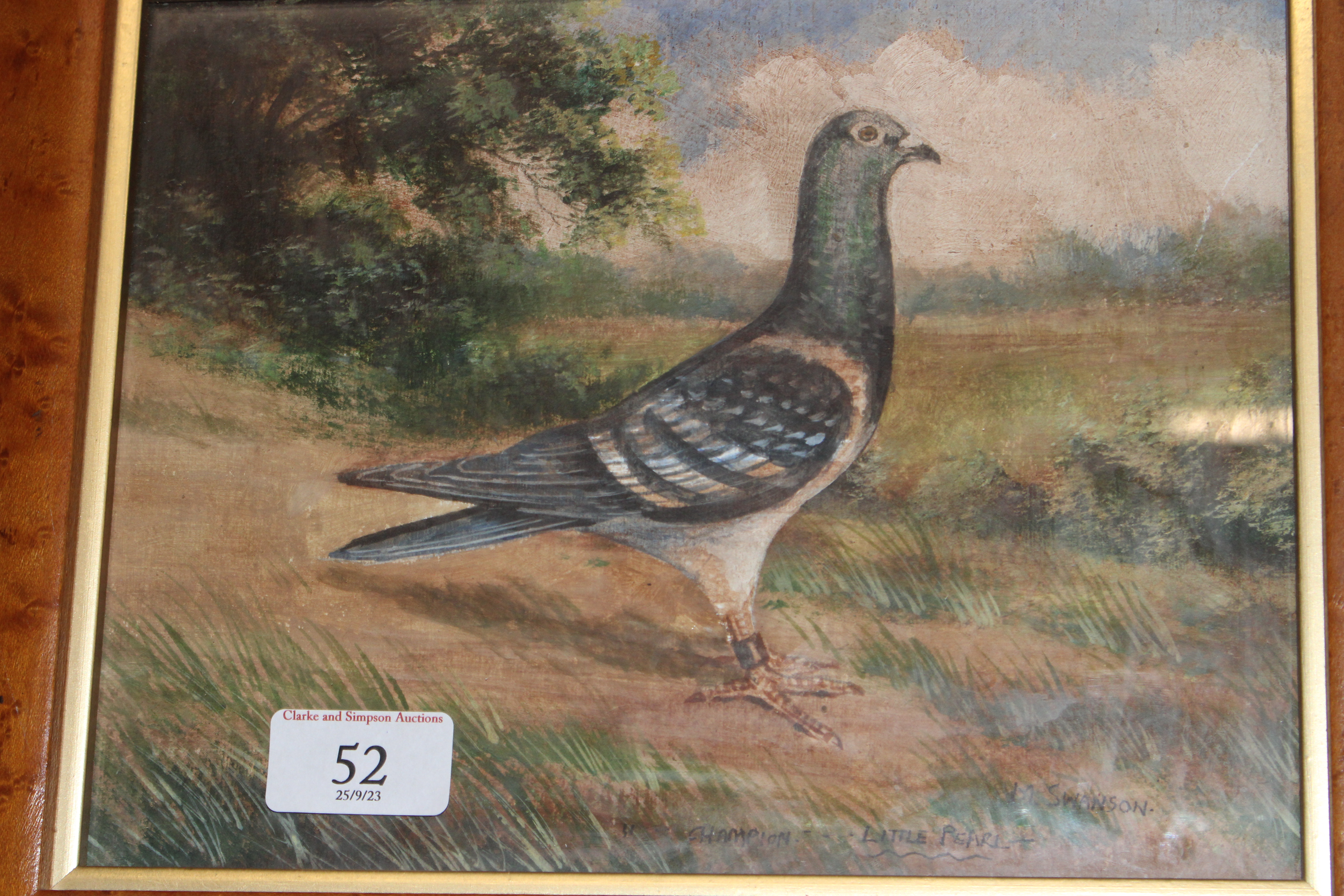 M. Swanson, study of racing pigeon "Champion Littl - Image 2 of 3