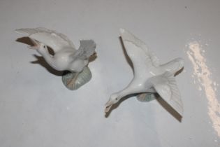 Two Lladro models of geese, No.1263 & No.1264