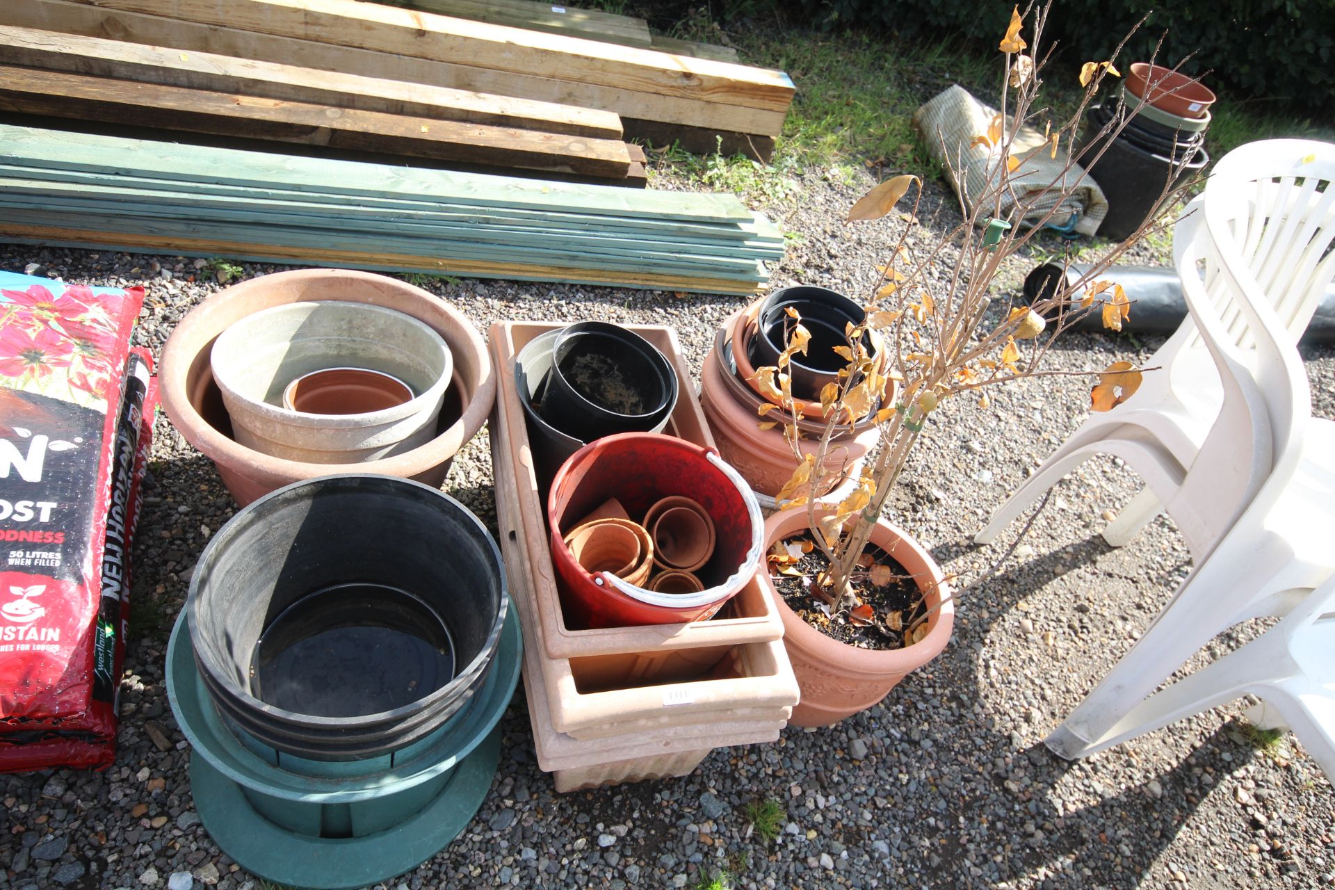 A quantity of various plastic and terracotta plant